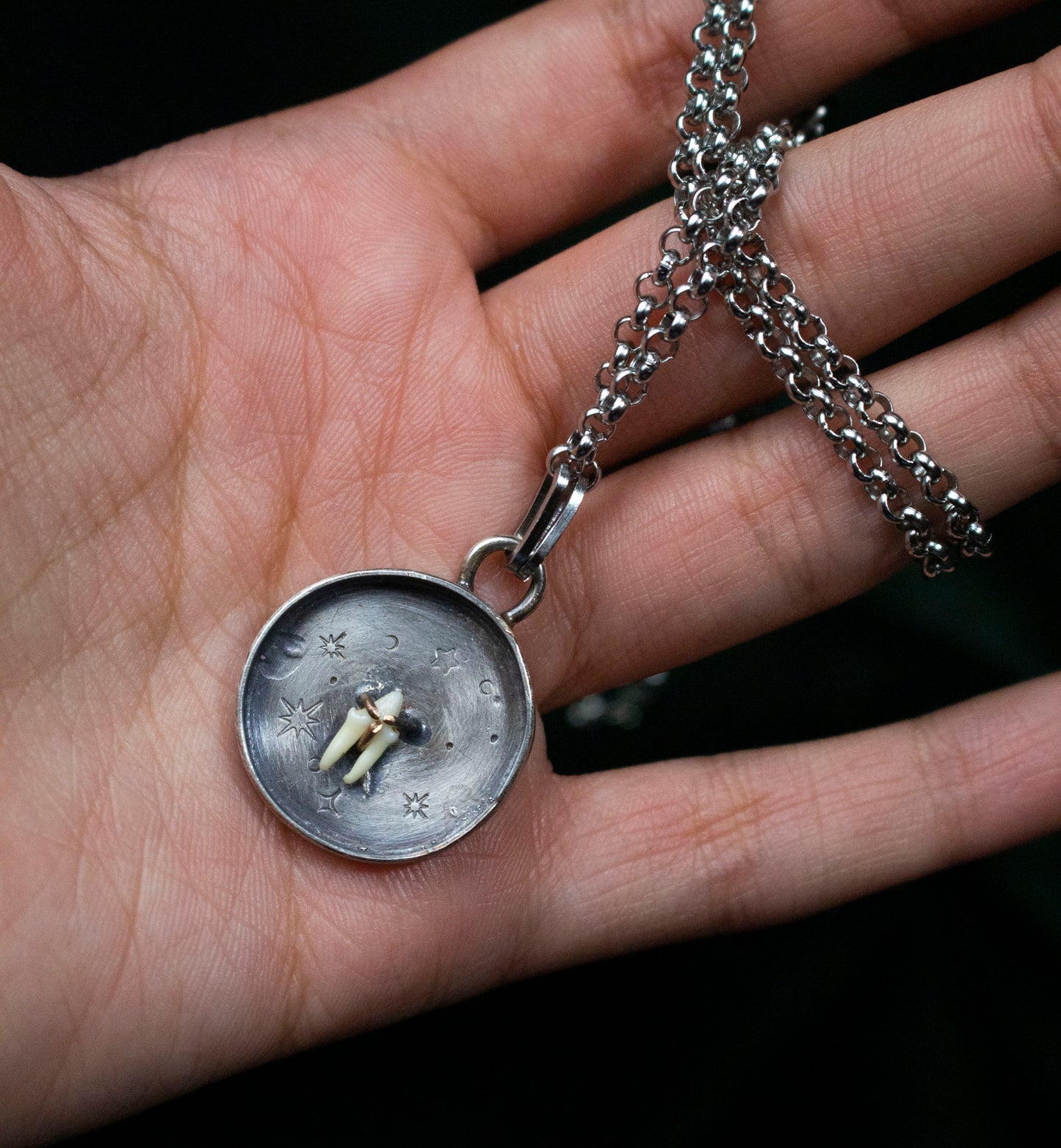 Little Tooth Big Dreams