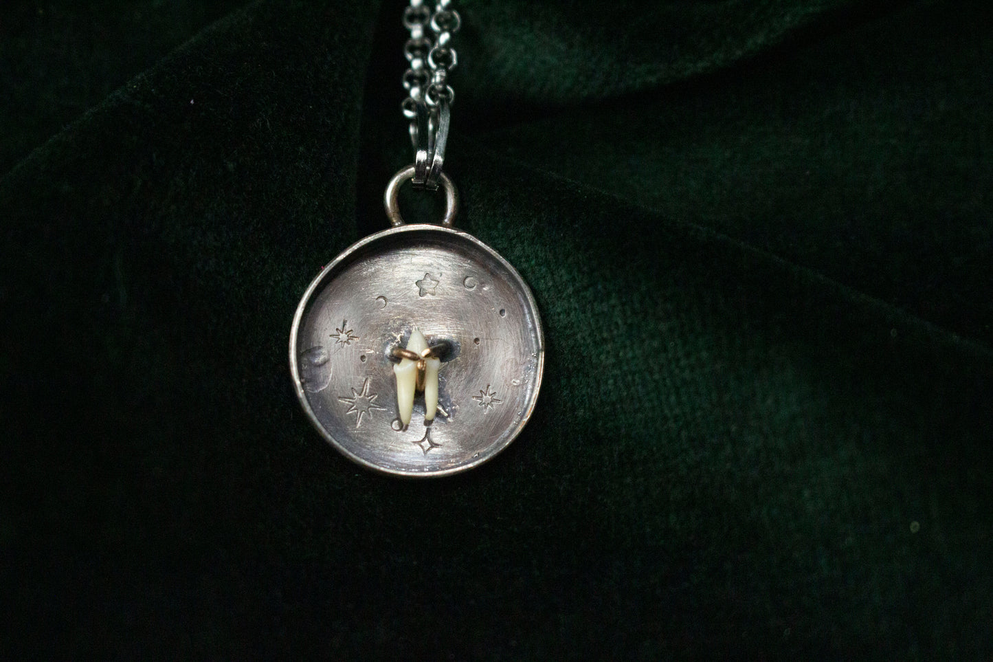 Little Tooth Big Dreams