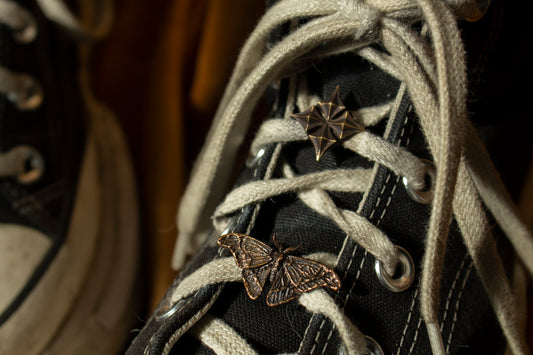 Shoelace Charms