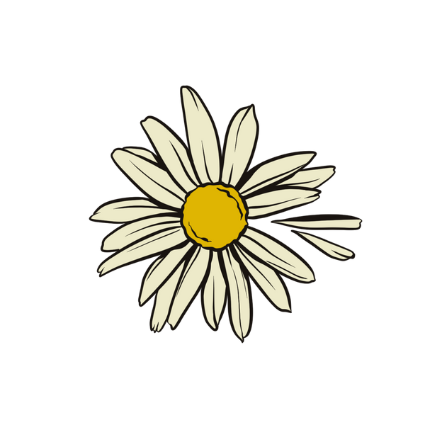 friend of daisies